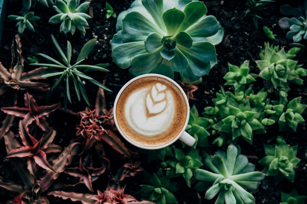 A beautifully crafted latte with art nestled among vibrant succulents, capturing the blend of nature and coffee culture.